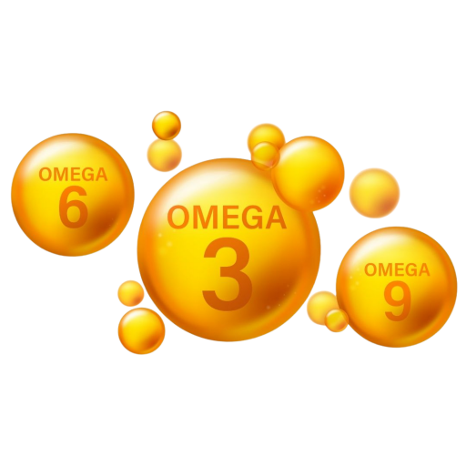 Omega 3 Balık Yağı